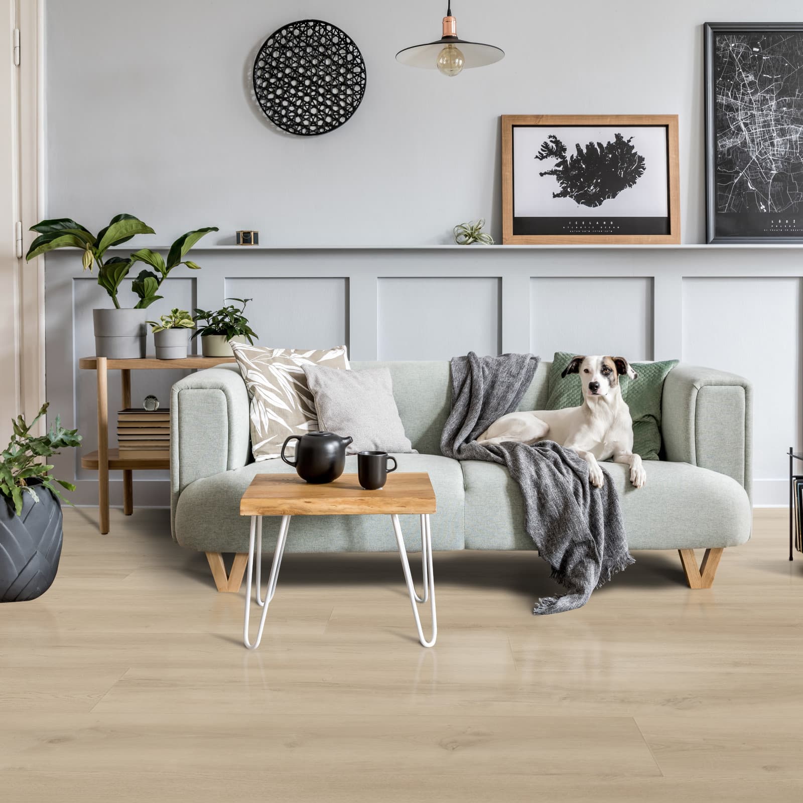Top Vinyl Flooring Brands of 2026: CALI, MSI, COREtec & Lifeproof Compared